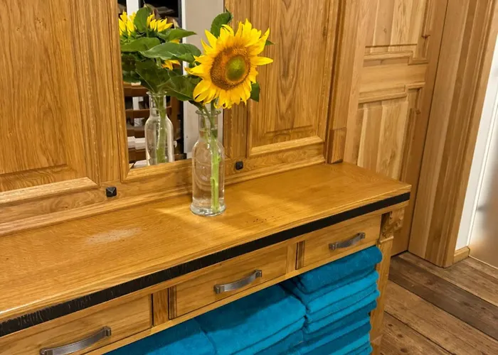 Hotel Vydrovy Boudy 3*